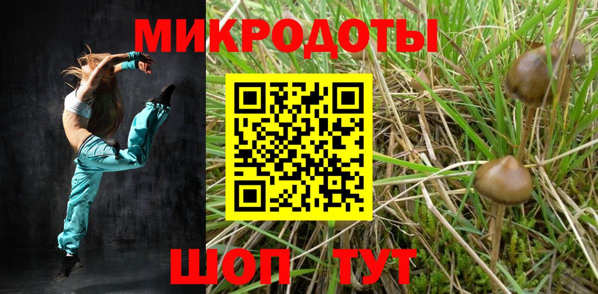 Галлюциногенные грибы GOLDEN TEACHER Лесозаводск