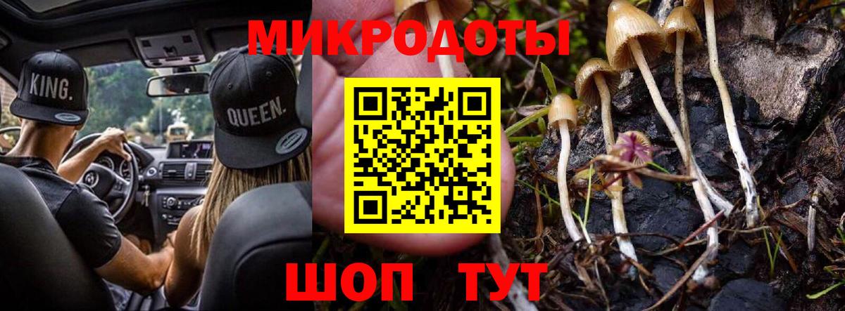 хочу   Вход с VPN  Лесозаводск  Псилоцибиновые грибы прущие грибы 